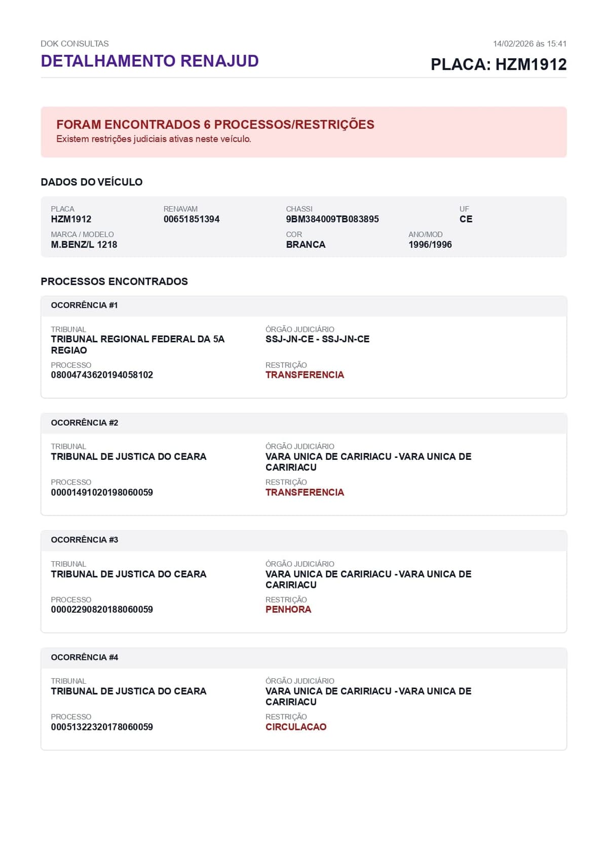 Exemplo de detalhamento Renajud Zé Consultas
