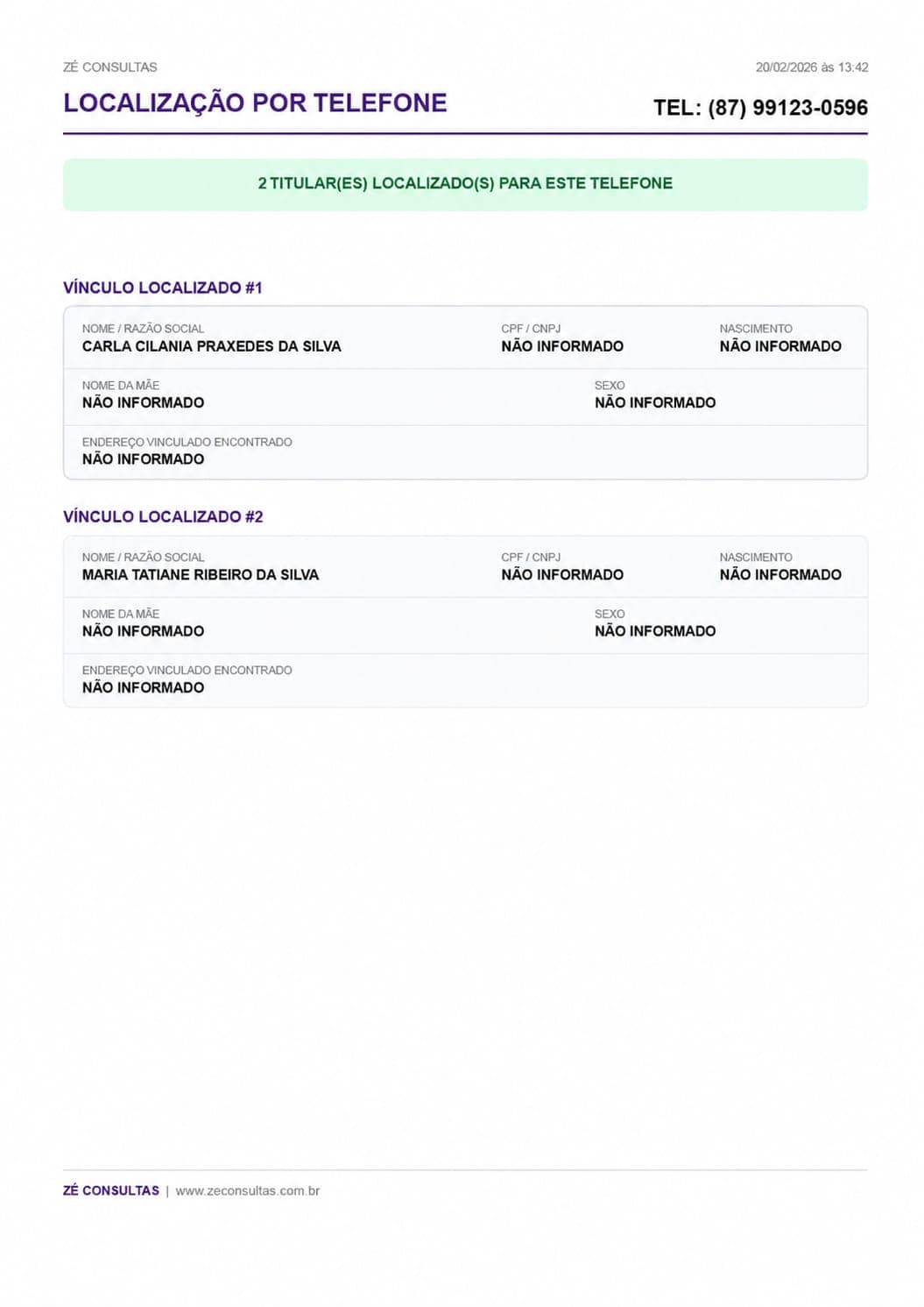 Exemplo de relatório de consulta de titular pelo telefone Zé Consultas